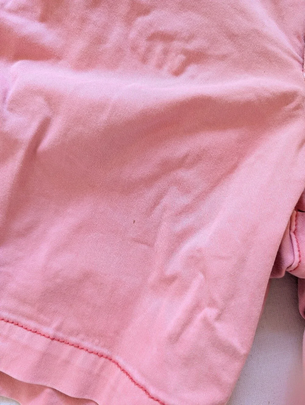 Anthropologie Pilcro And The Letterpress Hyphen Pink Chino Shorts - Size 29